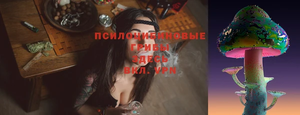 ешки Аркадак