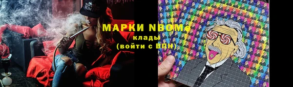 ешки Аркадак