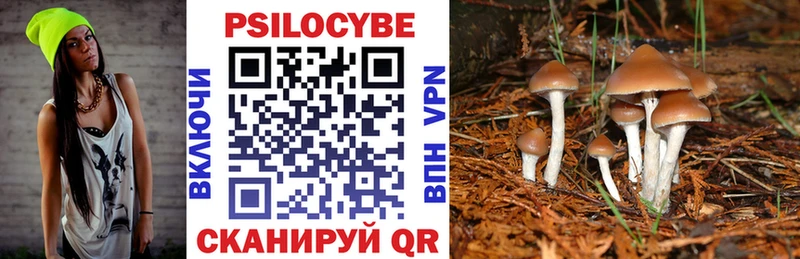 Галлюциногенные грибы Psilocybine cubensis  Ленинск 